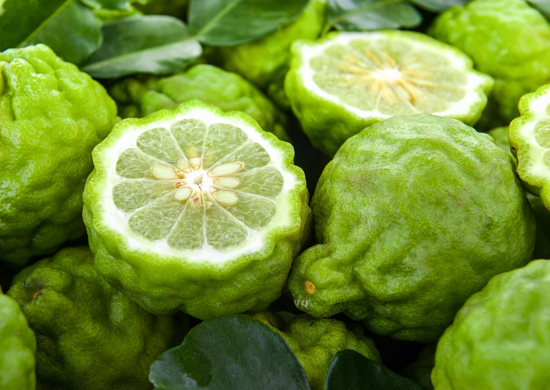 The Citrus Secret: 7 Surprising Benefits of Bergamot Essential Oil